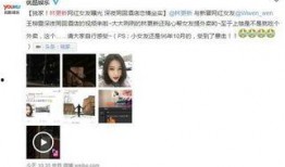 网红爆料酒店视频大全集,酒店视频大全集揭秘，一窥行业背后真相